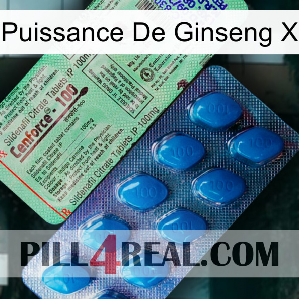 Ginseng Power X new02